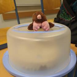 El Grabowski sur le gâteau