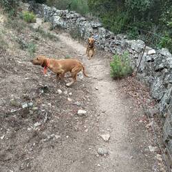 ...Trotz Begleitung...