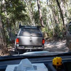 Einspurig - mann muss sich ausweichen, oder auch mal ein Stück rückwärts fahren