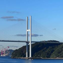 Venus Wing Bridge