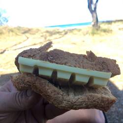 Endlich normales Essen