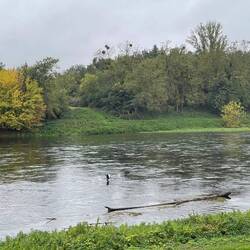 Breiter, schnell fliessendes Gewässer