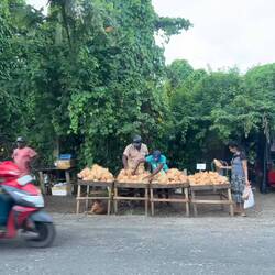 Kokosnussverkaufsstand