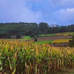 Little break in the weather