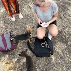 Da oben wohnt ne recht dünne Hundefamilie