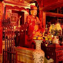 Kollege Fuzi wie er leibt und lebt...