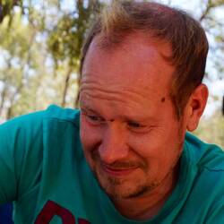 Die Schwarzen Punkte sind Fliegen...