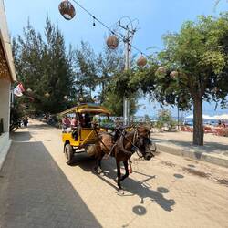 One of the many horse carriages at the beach front of Gili T.