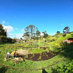 Vous reprendrez bien des légumes en béton?