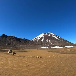 Il court, il court, le furet.