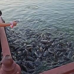 Super eklig 😵‍💫