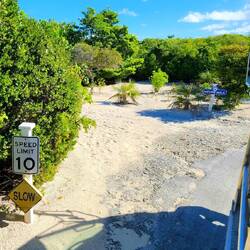 Island road 🚗 🚜