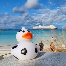 "Cruising Duck" that I found above Mozart on the ship. Took his photo and rehid on the ship 🛳️😊