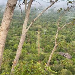 the way we came / west gate