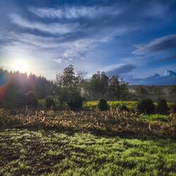 Came out of the woods today to this shot