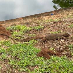 Fast nicht gesehen / nearly missed it