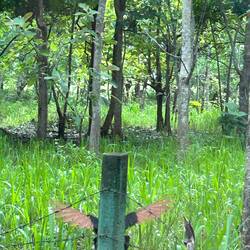 versteckt / in disguise