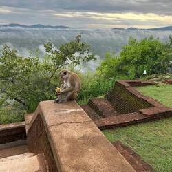 Der hat mir meine Banane aus'm Rucksack geklaut