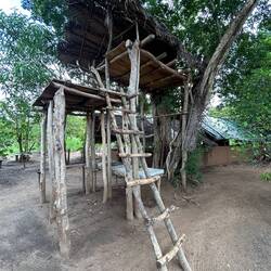 Oben schläft die Familie, unten laufen die Elefanten nachts durch oder klauen die Mangos