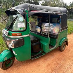 Ging es zurück mit dem Tuk Tuk