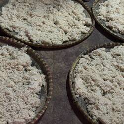 Der Reis ist am fermentieren