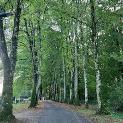 Start am Morgen