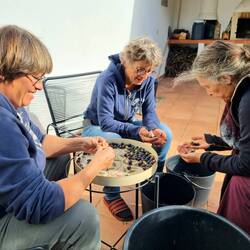 Die Guten werden von den Schlechten getrennt - für die Speiseoliven!