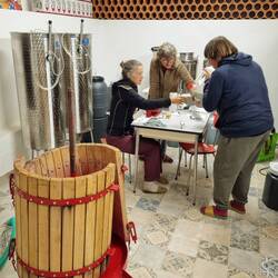 Olivenöl-Tasting...