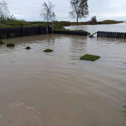 Haven foran sommerhuset