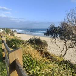 Wale beobachten vom Strand