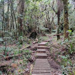 Et c'est parti pour 4000 marces, ça commence doucement !