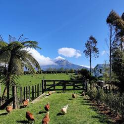 Vue du camping de hipster.