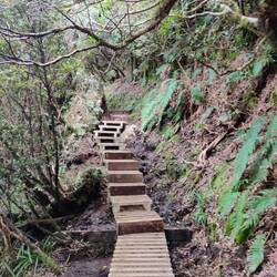 Puis ça s'intensifie. (Pas très solides ces lattes... Ou alors je dois peser un peu trop lourd! 😅)