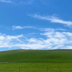 Pics dont do the deep green pastures justice