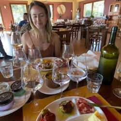 Gambino wine and food pairing lunch