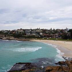 Bondi Beach