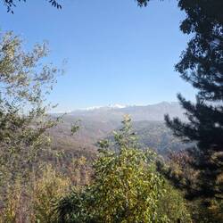 Berge