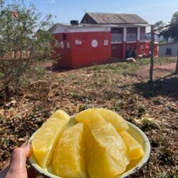 Die Ananas der Straßenverkäuferin