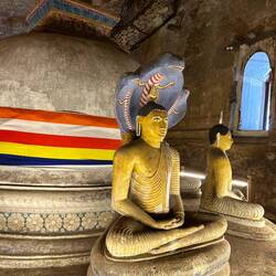 Kobra schützt Budda als er im Wald meditierte und es regnete