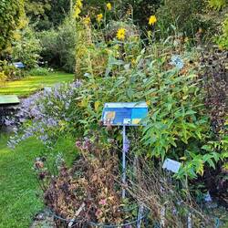 im Botanischen Garten