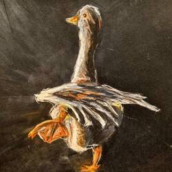 Auch ein Entenrücken kann entzücken!😉