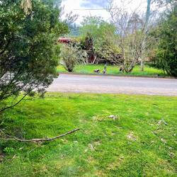 View feom my window in Maydena