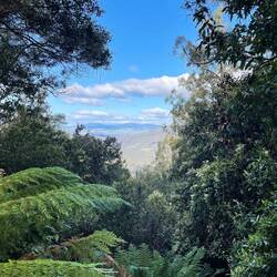 Lookout on way to Lake Dobson