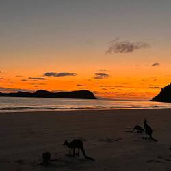 Morgens 05.00 in Cape Hillsborough
