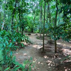 spice garden, super interesting