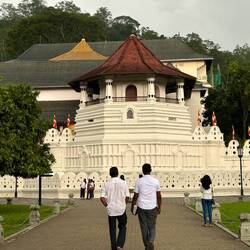 der Zahnpalast / Tooth Temple