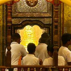 Der Zahn ist da drin