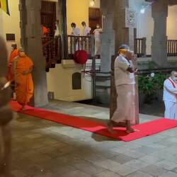 Die Zeremonie beginnt... endlich.