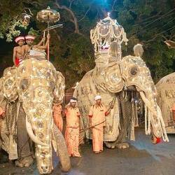 Internet: Das Fest im August