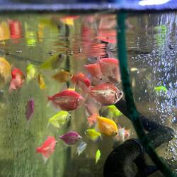 Aquarium am Ankunftsbahnhof